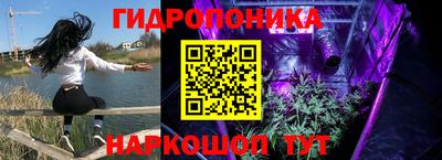 амф Краснодар