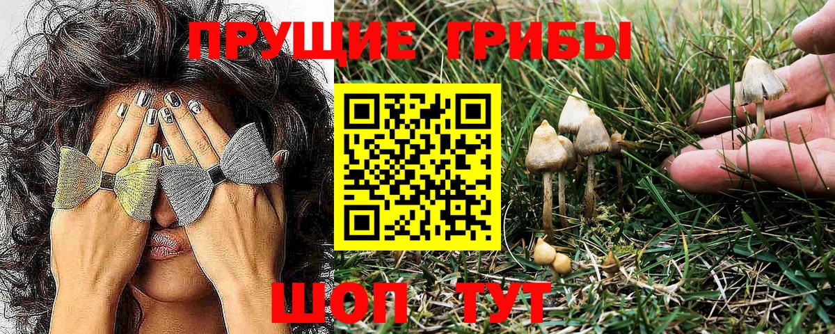 Галлюциногенные грибы ЛСД  Галлюциногенные грибы Psilocybine cubensis  где купить   Вход с VPN  Кимры 